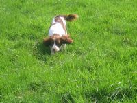 click for a larger view